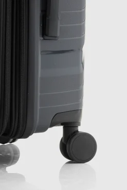 Palm Check-In 74cm Suitcase